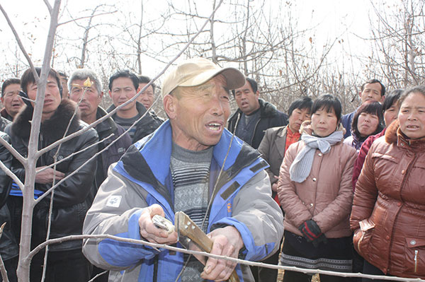 果园开春两样活 清园补养同时做