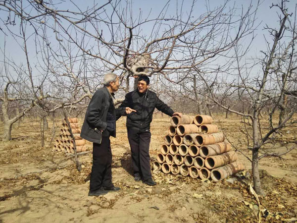 “倒春寒”：预防和补救要双管齐下