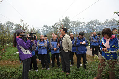 苹果难卖的根源在哪里？