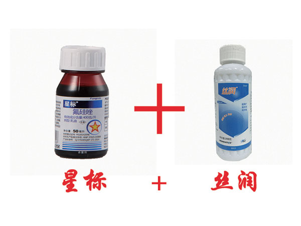 防腐烂： 喷的时间到了