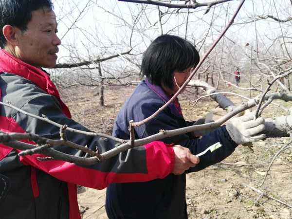 坚持防冻到四月底
