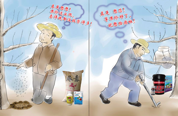 今年定果一定要早