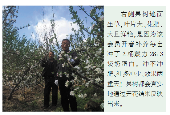 今年果价高低已经拉开了差距
