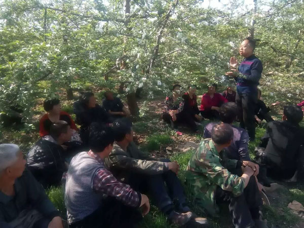 密闭果园花后或套上膜袋后还得间伐