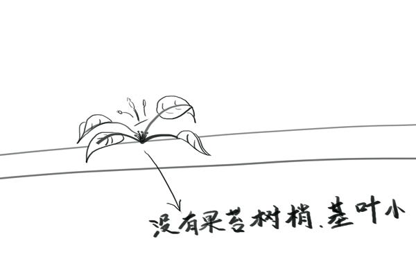 你知道这些定果小窍门吗？