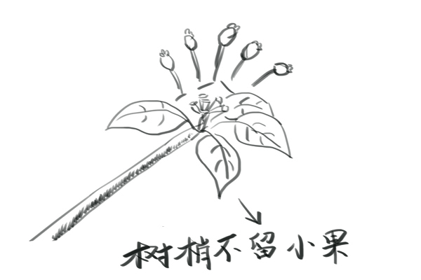 你知道这些定果小窍门吗？