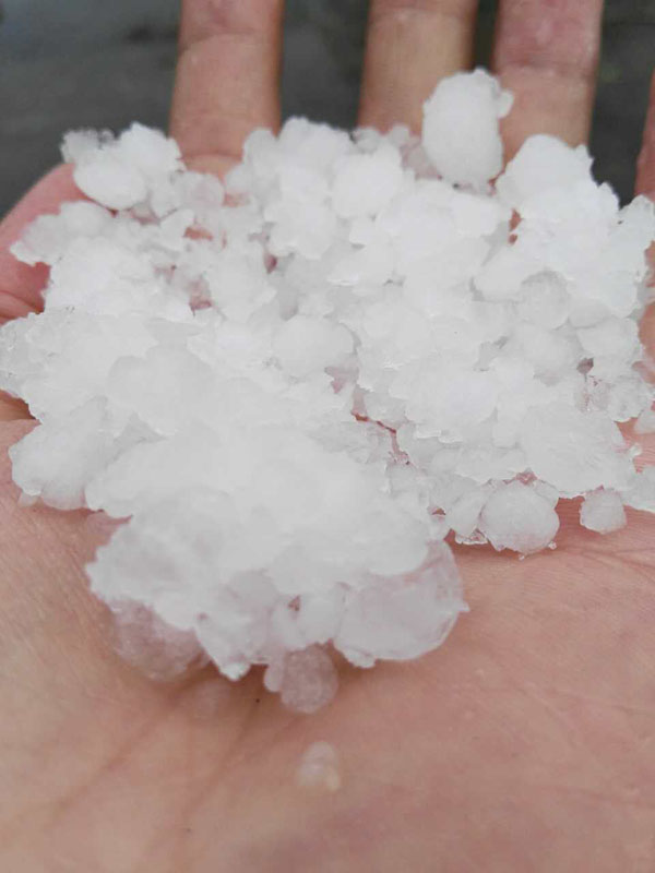雹灾后咋办?