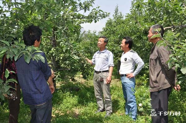 抓紧结束疏果定果  花后三遍药后就套