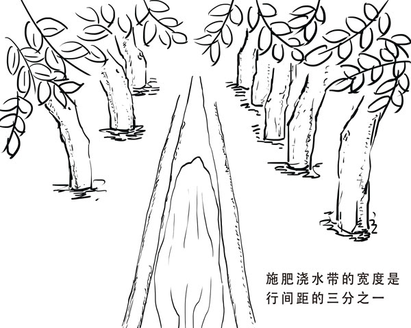 套膜+纸袋和纯纸袋的时间大有讲究