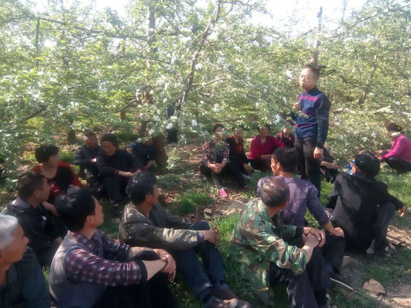 再次强调花后第一遍药注意事项