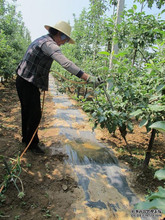 雨季管园七注意