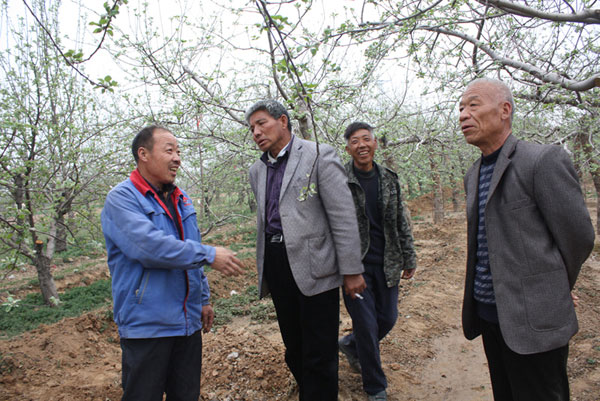 “我的果园别人脱了鞋都撵不上” “我的果园别人脱了鞋都撵不上”