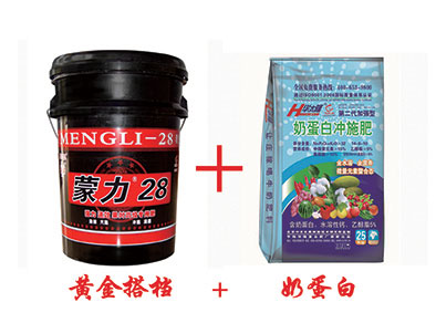 花前追施蒙力28+奶蛋白为什么比尿素好