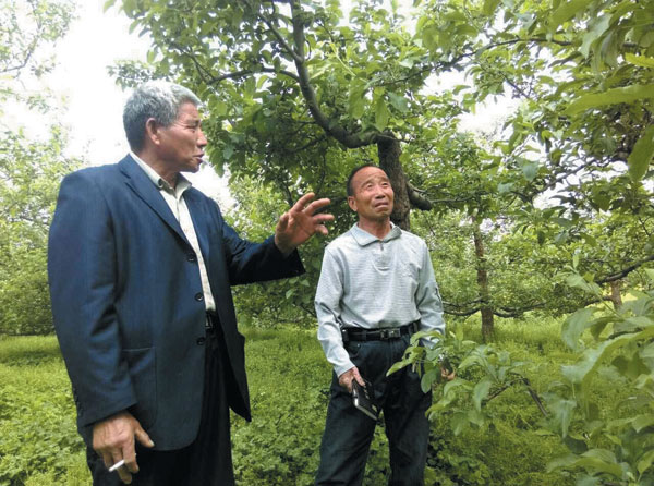 营养“累积效应”与“增效作用”