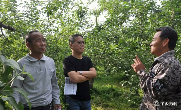 五下六上冲肥补磷耽搁不起